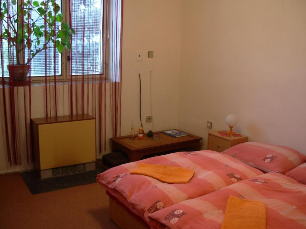 Penzion Hlinkova Plzeň Rom bilde